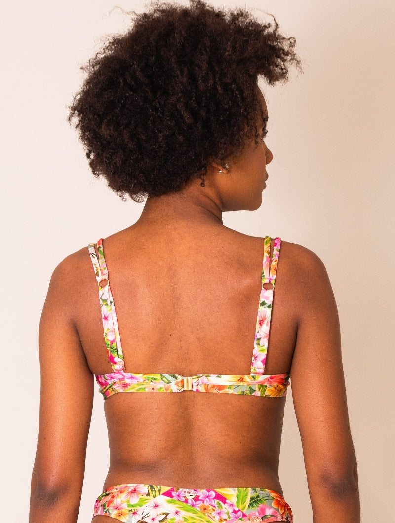 SUTIA 294 - CLEO